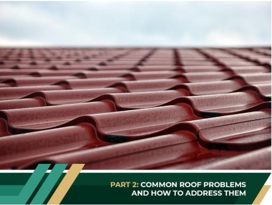 Ways to Keep Your Roof in Amazing Shape - Part 2: Common Roof Problems and How to Address Them